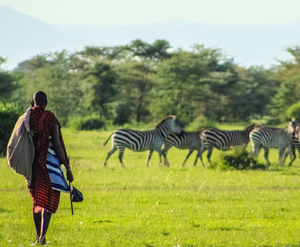 Masai Mara Safari 